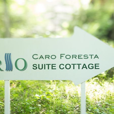 Caro Foresta Kita Karuizawa Rio Hotel Tsumagoi Buitenkant foto
